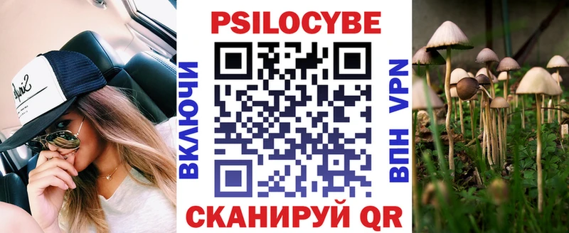 блэк спрут ссылка  Гремячинск  Галлюциногенные грибы Psilocybe 